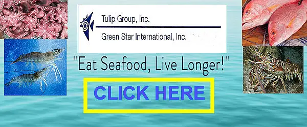 Whole Spiny Lobster & Lobster Tails, All forms of Shrimp including Head On, Headless Shell On, Peeled & Deveined Tail On, Peeled & Deveined, EZ Peel, Pre Cooked Ready to eat tail on & tail less, Blanched P/D etc. Blocks & IQF, Pasteurized Crab Meat ( Cans & Plastic Cups), Red Snapper & Malabar Snapper ( WGGS & Fillets), Grouper ( Whole Gutted & Steaks) Octopus ( Raw & Cooked), Squid ( Tubes & Tentacles, Rings & Tentacles, MAHI MAHI (Fillets Skinless, Portion Cut, CO2 Treated), KINGFISH STEAKS (Individually Vac Packed)